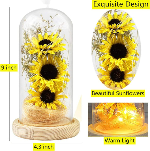 NA Sunflower in Glass Dome Gifts for Women Enchanted Flower with LED Light Enchanted Gift for Women on Christmas Valentine's Day Mother's Day Anni...