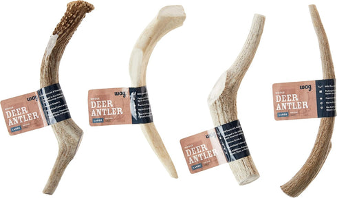 Amazon Brand - Wag Dog Deer Antler Chew, Naturally Shed, Whole, Large 8-9.5 inches (Best for Dogs 30-45 lbs), 3.20 Ounce (Pack of 1)...