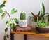 Funny Ceramic Succulent Cactus Planter Pot with Bamboo Saucers - Thank You for Helping Me Grow, Cactus Plant Office Garden for Teacher, Mom, Grand...