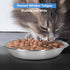 Whisker Fatigue Cat Bowl, SUS304 Stainless Steel Cat Bowls for Food and Water for Medium Pets -Set of 2...