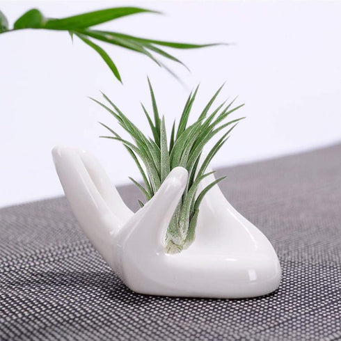 6 Pack Ceramic Air Plant Stand Holder, Hand Shape Tillandsia Airplant Container Pot Tabletop Plant Display Hand Racks for Home Office Decoration S...