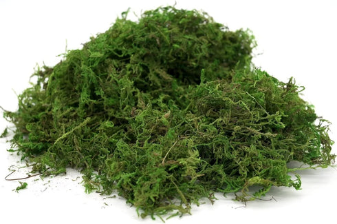 Usmola Fake Moss, Artificial Green Moss for Potted Plants Fairy Garden Accessories, 4OZ (Fresh Green)...