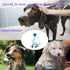 Pet Bathing Tools ?dog scrubber for bath?Sprayer and Scrubber in One?dog scrubber for bath?pet shower attachment...