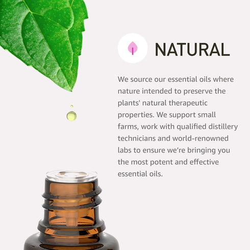 Rocky Mountain Oils Oregano Essential Oil 15 ml - Essential Oil...