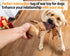 Squeaky Dog Toys for Boredom, No Stuffing Toys with Crinkle Paper, Soft Dog Chew Toy Tug-of-war Toy for Chewers, Interactive Elastic Puppy Toys fo...