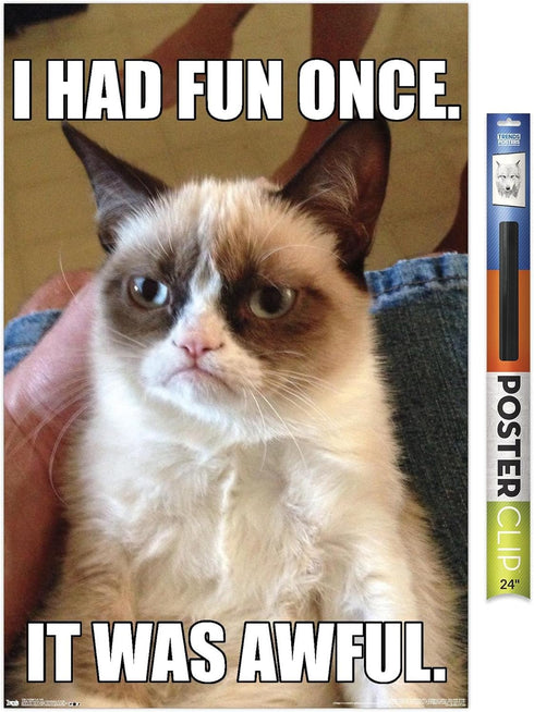 Trends International Grumpy Cat - Fun Wall Poster, 22.375" x 34", Premium Poster & Clip Bundle...