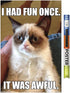 Trends International Grumpy Cat - Fun Wall Poster, 22.375" x 34", Premium Poster & Clip Bundle...