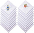 Geyoga 18 Pieces Ladies Cotton Handkerchiefs Flower Embroidered with Lace Colored Embroidered Handkerchiefs for Women...