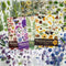 1600PCS Plants Floral Scrapbook Stickers Book Kit Vintage Fern Flowers Purple Green Pink Yellow Transparent Waterproof Stickers for Scrapbooking S...