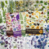 1600PCS Plants Floral Scrapbook Stickers Book Kit Vintage Fern Flowers Purple Green Pink Yellow Transparent Waterproof Stickers for Scrapbooking S...