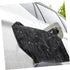 VICASKY EV Charger Port Cover,Electric Car Charger Plug Cover for Rain Snow Sun UV All Weather Protection......