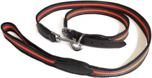 Alvalley Reflective Dog Leash - Durable, Heavy Duty Dog Leash with Nylon Webbing - Dog Training Leash for Small, Medium, Large and Extra Large Dog...