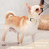 Dog Collar for Small Dog Girl Boy, Dog Collar for Medium Large Dogs, Puppy Collars Chihuahua Collar Adjustable Pet Cat Collar Pink Collar para Per...