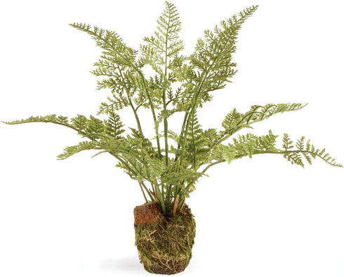 Napa Home & Garden, Soft Fern Drop-in 8.5"...