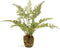 Napa Home & Garden, Soft Fern Drop-in 8.5"...