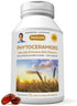 ANDREW LESSMAN Phytoceramides with Biotin 30 Softgels - Skin’s Vital Natural Internal Moisturizer. Naturally Enhances Soft, Smooth, Radiant Skin. ...