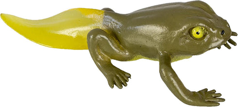 Safari Ltd. Life Cycle of a Frog Figurine Set - Miniature Educational Biology Toy for Boys, Girls, and Kids Ages 4+...