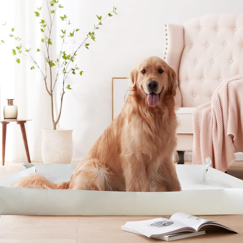 Dog Crate Pad Waterproof Dog Bed Mat, Washable Dog Bed Mat, Large Portable Dog Pee Pads Holder for Travel, Pet Cushion for Medium Small Dogs Cat K...