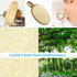 2 Pack Exfoliating Loofah Sponge Pads Natural Loofah Sponge Body Scrubber for Shower Bath Shower Loofah Sponge for Face and Body Luffa Sponge for ...