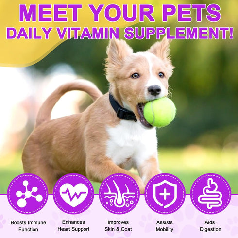 Dog Multivitamin Treats - 15 in 1 Multivitamin Tablets for Dogs with Glucosamine, Cranberry, Milk Thistle, Vitamins Supports Joint & Digestion, Sk...