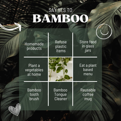 Bamboo Toothbrush and Tongue Cleaner - 4x4 Pack...
