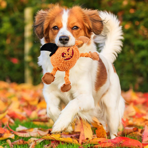 Halloween Squeaky Dog Toys Plush Stuffed Turkey Toys for Puppy Tough Small Dog Pumpkin Toys...