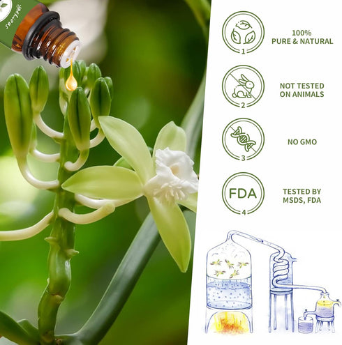 yethious Vanilla Essential Oils for Diffuser & Aromatherapy Pure Vanilla Oil for Skin Gift Oils - 10ML...