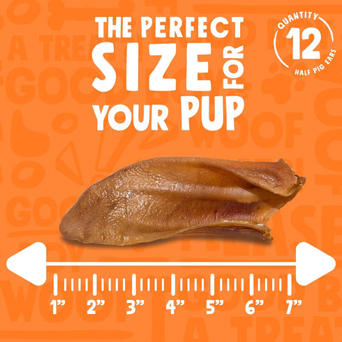Half Pig Ears for Dogs | All Natural Dog Treats Pig Ears Dog Treats | Single Ingredient Dog Chews Dog Treats for Medium Dogs and Small Dog (12 Pac...
