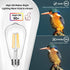 4-Pack Vintage 8W ST64 LED Edison Light Bulbs 100W Equivalent, 1400Lumens, 2700K Warm White, E26 Base LED Filament Bulbs, CRI 90+, Antique Glass S...