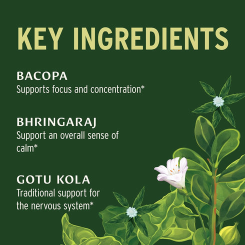 Banyan Botanicals Mental Clarity – Organic Supplement with Gotu Kola & Bacopa – Supports Healthy Cognitive Function & Mental Performance* – 90 Tab...
