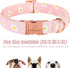 Cotton Dog Collar for Small Dogs Adjustable Cute Boy Girl Dog Collars with Metal Buckle Baby Pink Daisy Dogs Collar S...