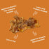Skona Single-Ingredient Chicken Breast Jerky Treats (4oz) | Dogs & Cats | Lean Protein, Hypoallergenic, Dental Care | Ideal Training, USA Made...