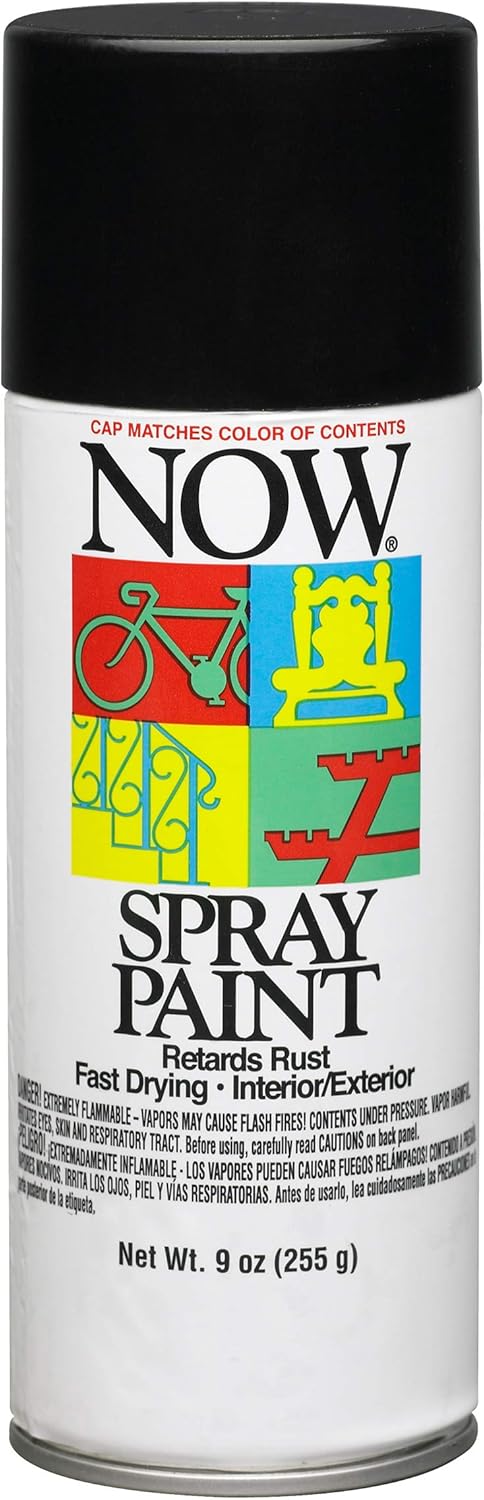 9 oz Krylon 21213 Black Now Enamel Spray Paint, Gloss...