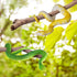 Flormoon Realistic Fake Snake Toy - 2pcs Rubber Elastic Lifelike Python Animal Figures - Halloween Prank Props Stress Relif Toys Educational Toys ...