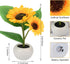 Sunflower Plants Table Lamp Gifts for Mom Simulation Flowers Led Night Lights for Anniversary Romantic Birthday Gifts for Her Home Decor - Ceramic...