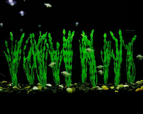 MyLifeUNIT Artificial Seaweed Water Plants for Aquarium, Plastic Fish Tank Plant Decorations 10 PCS (Green)...