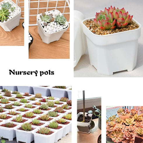 OJYUDD 3inch White Square Plastic Pots with Saucer, Drainage Hole, 24 Pcs, for Flower/Plant, Home,Company,Office and Garden(White)...