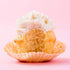 Miss Jones Baking Organic Yellow Cake and Cupcake Mix, Non-GMO, Vegan-Friendly, Moist and Fluffy: Vanilla (Pack of 1)...