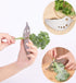 Stainless Steel Herb Stripper for Kale, Chard, Collard Greens - Multi-Function Leaf Remover, LooseLeaf Stem Removal Kitchen Gadget, Easy Kale Stem...