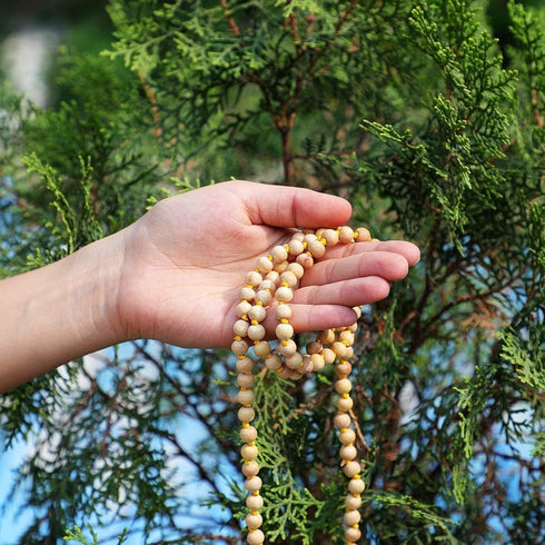 HealthAndYoga™ Tulsi Wood Mala (108 + 1 Round 8mm Beads with Tassel)- Holy Basil Plant Wood - Hand Knotted Rosary String for Mantra Chanting, Pray...
