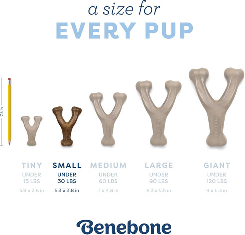 Benebone Puppy Wishbone Dog Chew Toy, Made in USA, Real Bacon Flavor, Small...