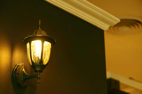 A19 LED Bug Light - Replaces 100W - Yellow Spectrum E26 Medium Outdoor Bulb for Porch Patio & Deck - Upgrade Your Old Painted Incandescent Bug Bul...
