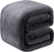 Fleece Blanket Queen Size for All Season 350GSM - Premium Lightweight Anti-Static Throw for Queen/Full Size Bed Extra Soft Brush Fabric Warm Sofa ...