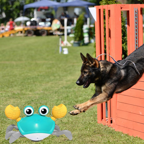 HONGID Crawling Crab Dog Toys,Escaping Crab Dog Toy with Obstacle Avoidance Sensor,Interactive Dog Toys with Music Sounds & Lights for Dogs Cats P...