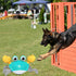 HONGID Crawling Crab Dog Toys,Escaping Crab Dog Toy with Obstacle Avoidance Sensor,Interactive Dog Toys with Music Sounds & Lights for Dogs Cats P...