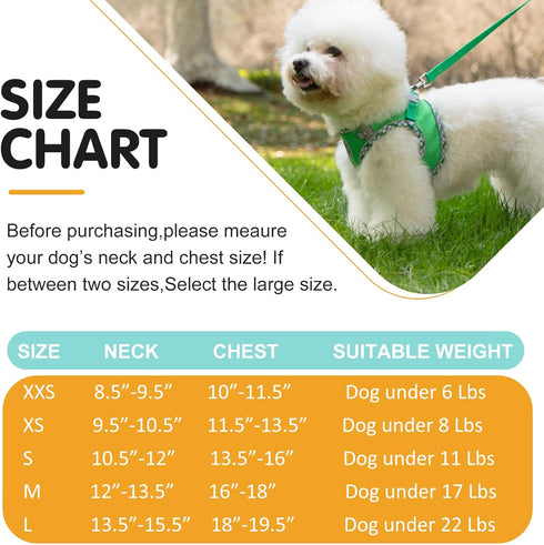 Dog Harness and Leash Set, No Pull Pet Harness for Small Dogs Easy Walking,Soft Breathable Small Dog Harness,Adjustable Reflective Step in Vest Ha...
