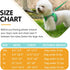 Dog Harness and Leash Set, No Pull Pet Harness for Small Dogs Easy Walking,Soft Breathable Small Dog Harness,Adjustable Reflective Step in Vest Ha...