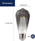 FLSNT LED Edison Bulbs, 5000K White Light Dimmable ST19 LED Light Bulbs, E26 Base,4W(40W Equivalent), CRI82+, 150LM, 6 Pack, Smoky Grey Glass...