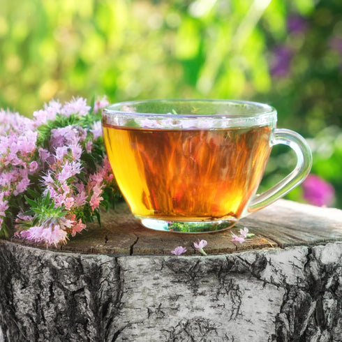 Jovvily Hyssop Herb - 4 oz - Herbal Tea - Cut & Sifted...