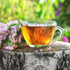 Jovvily Hyssop Herb - 4 oz - Herbal Tea - Cut & Sifted...